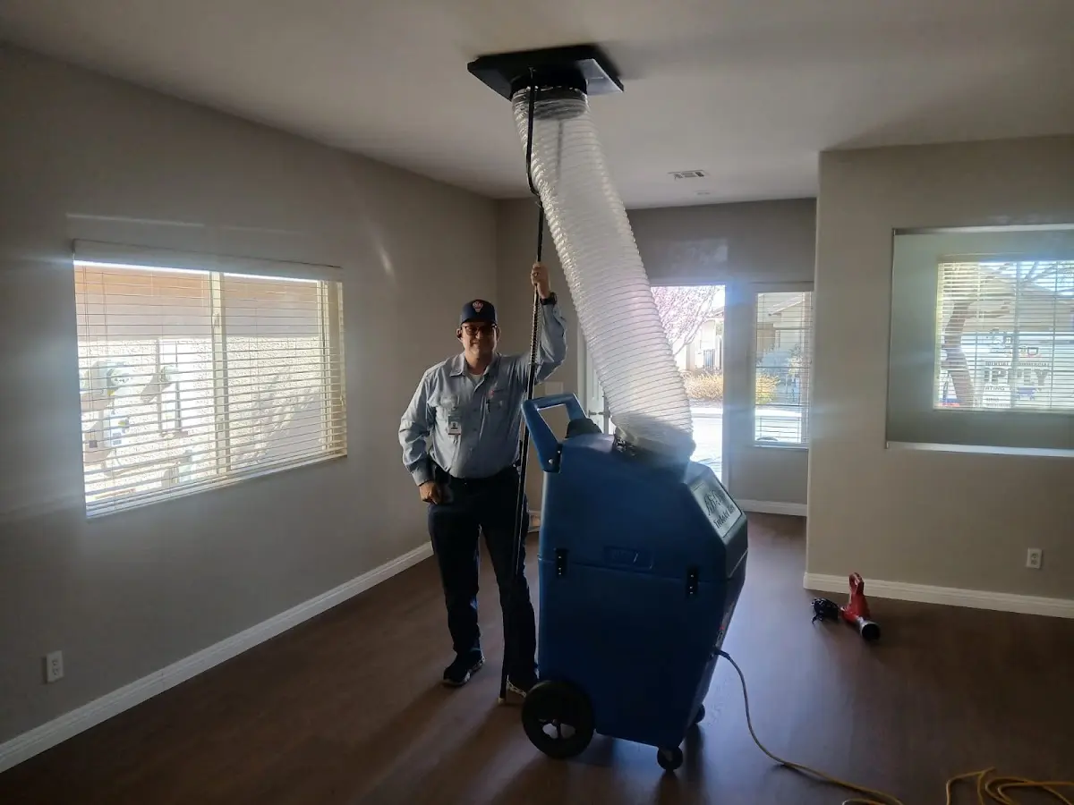 Professional Dryer Vent Cleaning work inside a Northbridge home